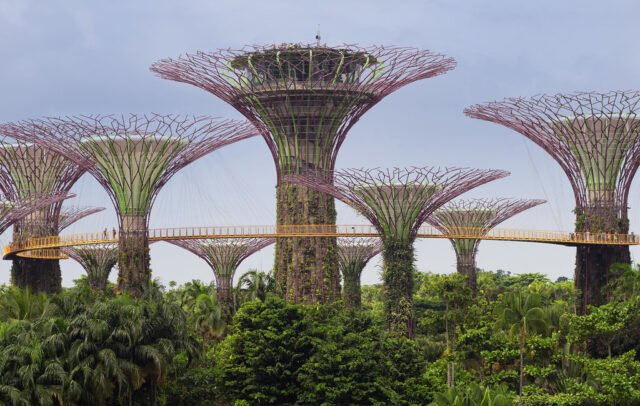 Supertrees