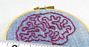 How Often to Weigh Yourself Blue Denim and Pink Brain Anatomy Mini Hoop Art. Hand Embroidered.