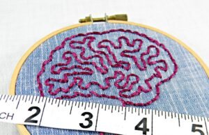 How Often to Weigh Yourself Blue Denim and Pink Brain Anatomy Mini Hoop Art. Hand Embroidered.