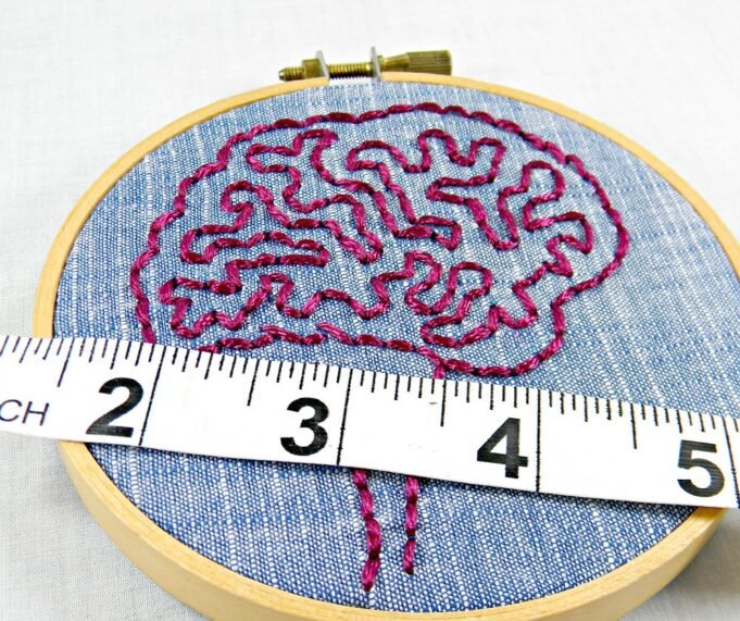 How Often to Weigh Yourself Blue Denim and Pink Brain Anatomy Mini Hoop Art. Hand Embroidered.