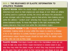 Best Footpods for Indoor Running The relevance of elastic deformation to athletics training
