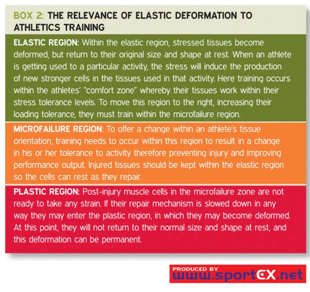The relevance of elastic deformation to athletics training